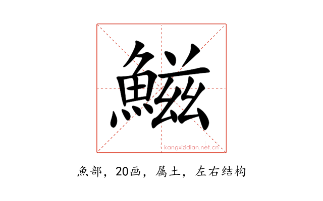 鰦