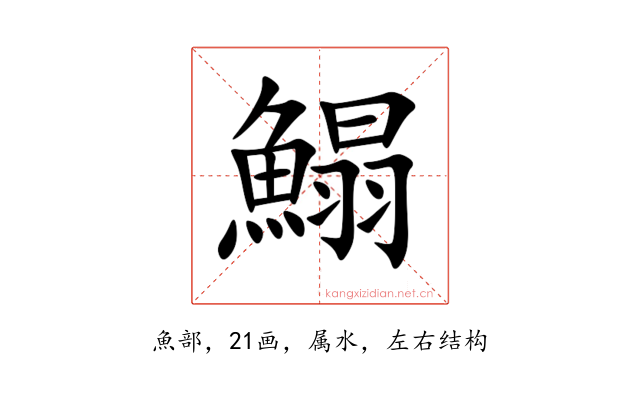 鰨