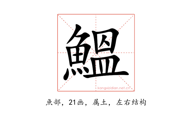 鰮