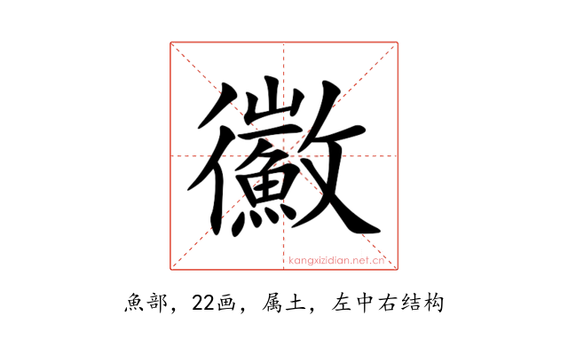鰴
