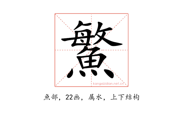 鰵