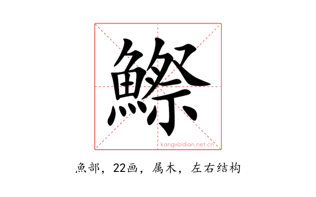 鰶