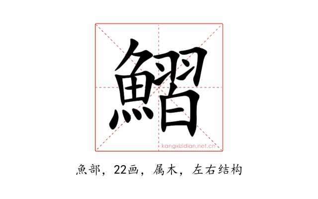 鰼