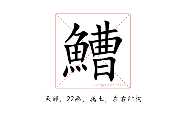 鰽