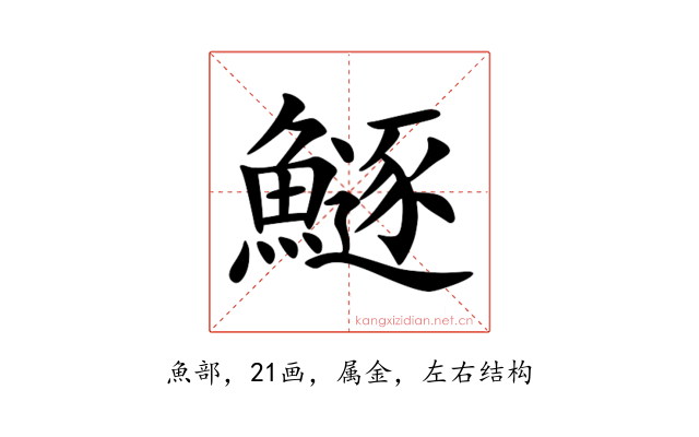鱁