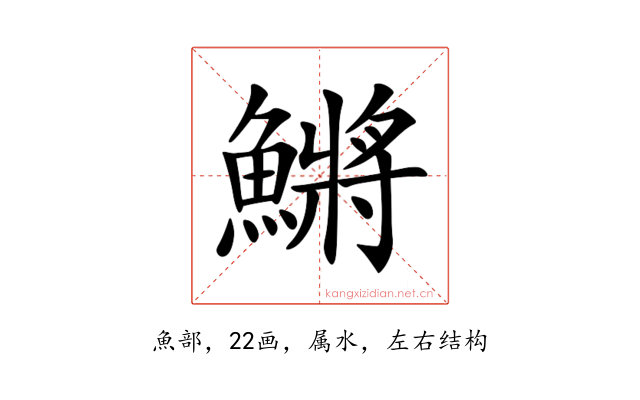 鱂