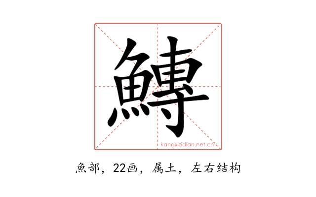 鱄
