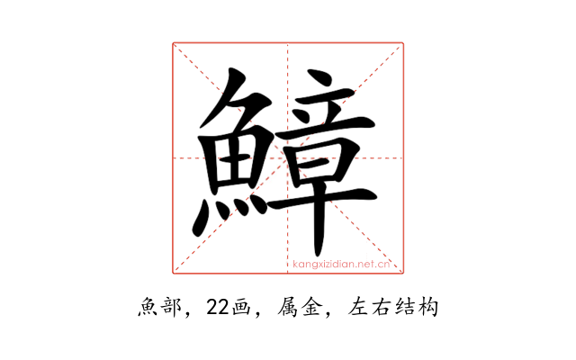 鱆