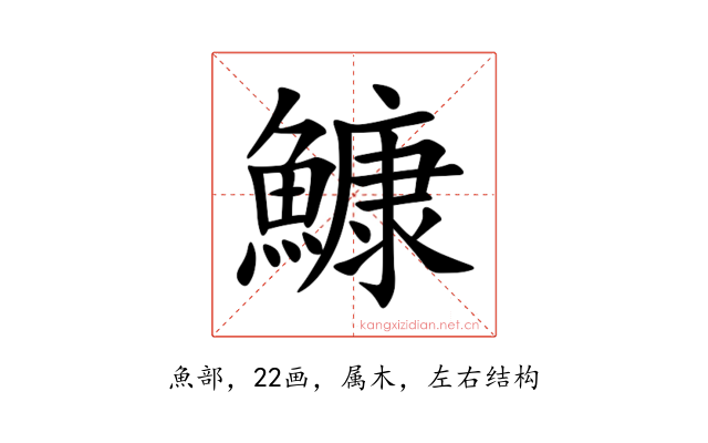 鱇