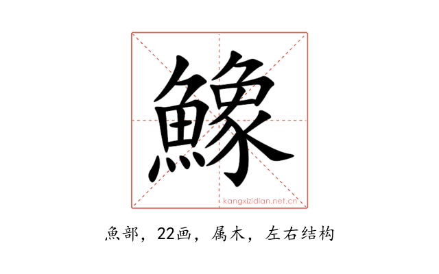 鱌