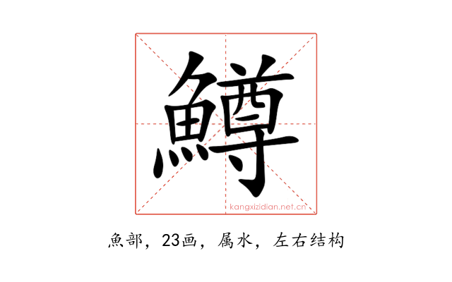 鱒