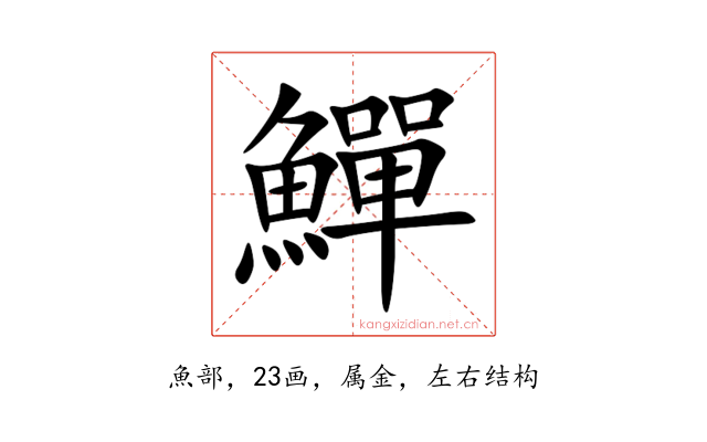 鱓