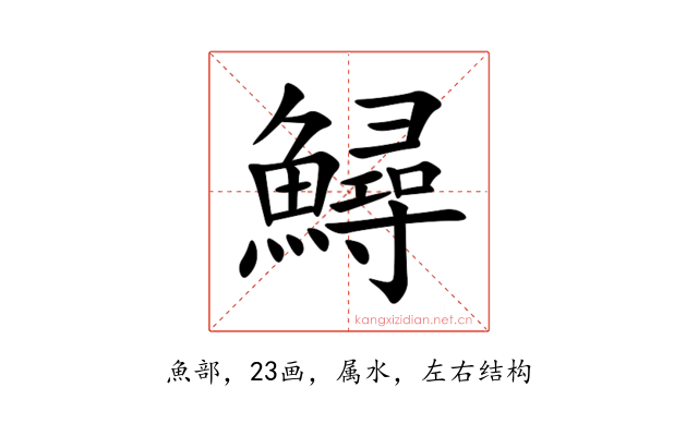 鱘