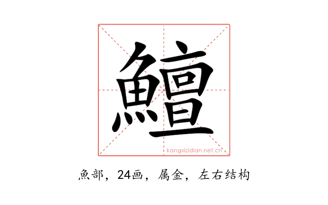 鱣