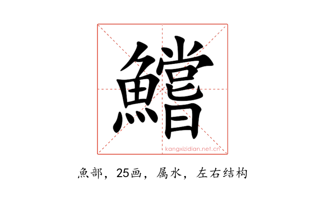 鱨