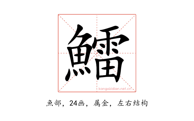 鱩