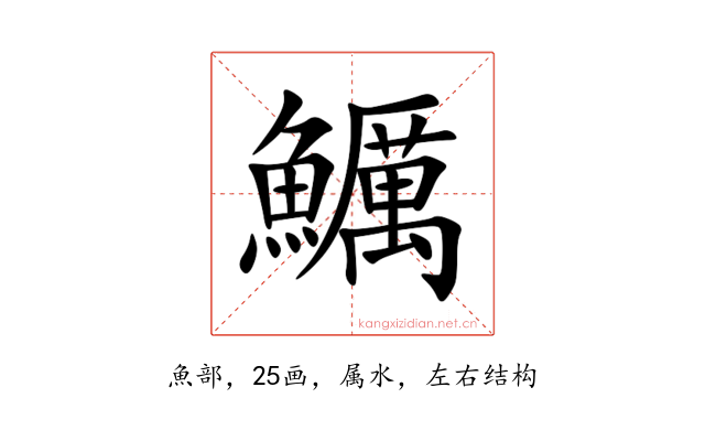 鱱