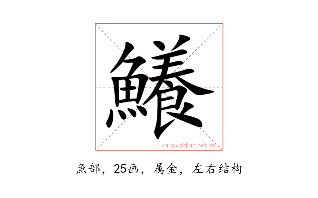 鱶