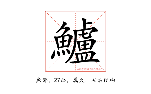 鱸