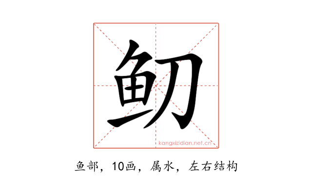 鱽