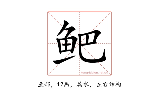 鲃