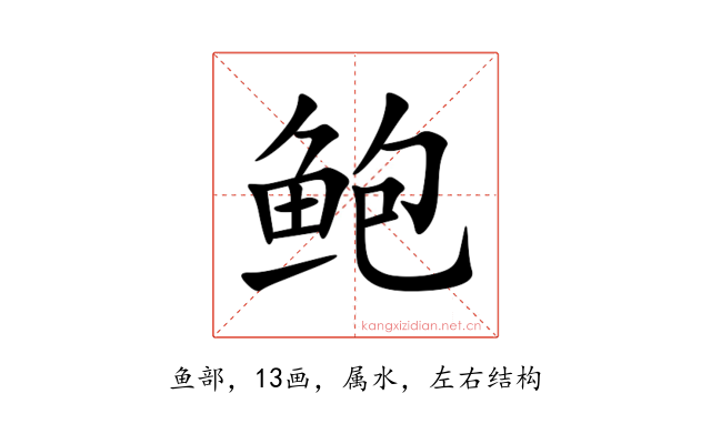 鲍
