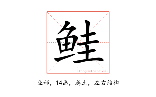 鲑