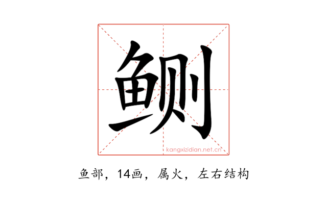 鲗