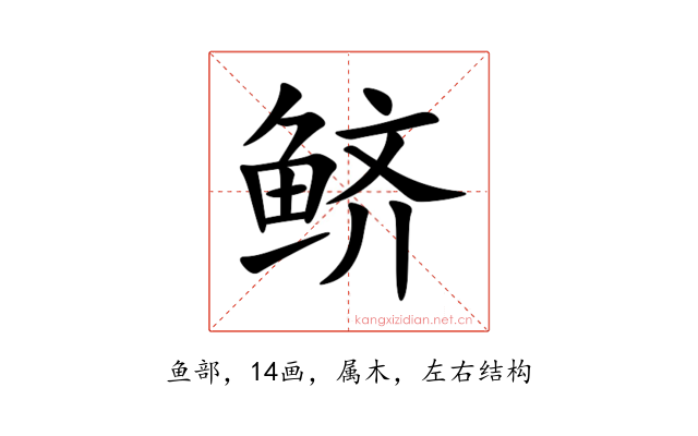 鲚