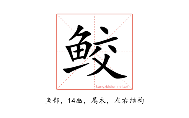 鲛