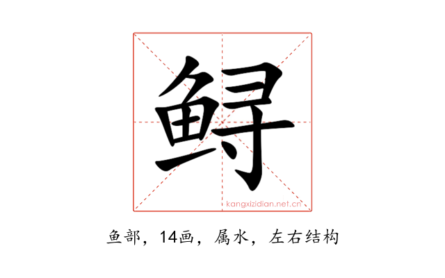 鲟