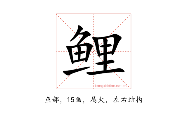 鲤