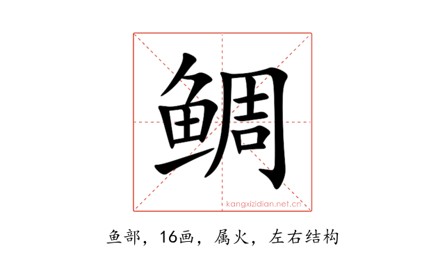 鲷
