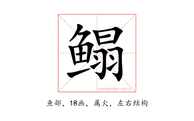 鳎
