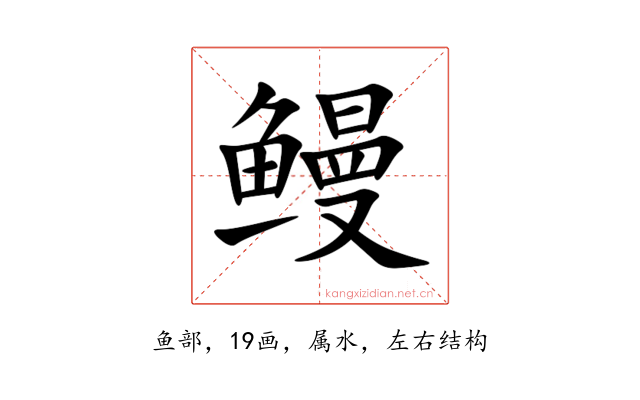 鳗
