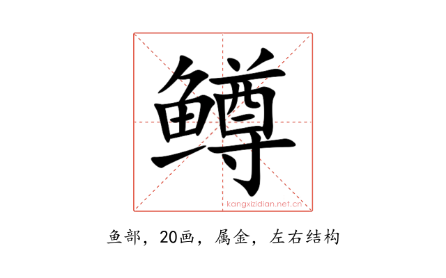 鳟