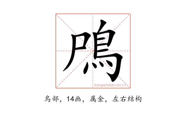 鳲