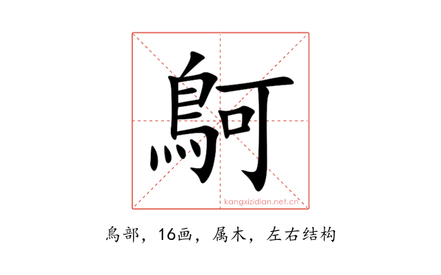 鴚