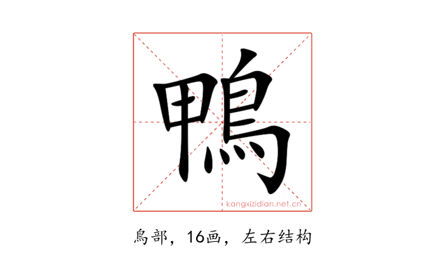 鴨