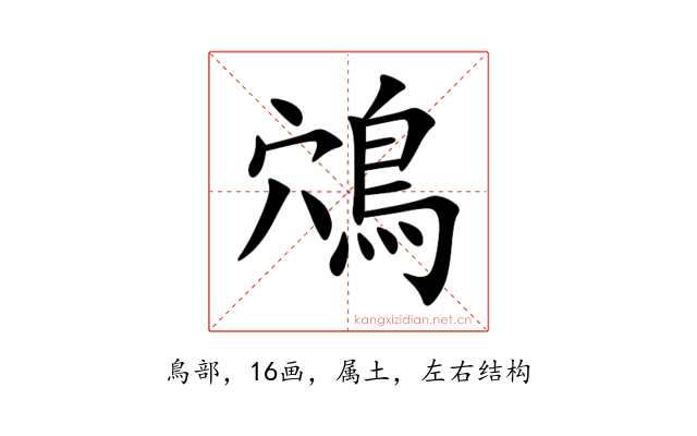鴪