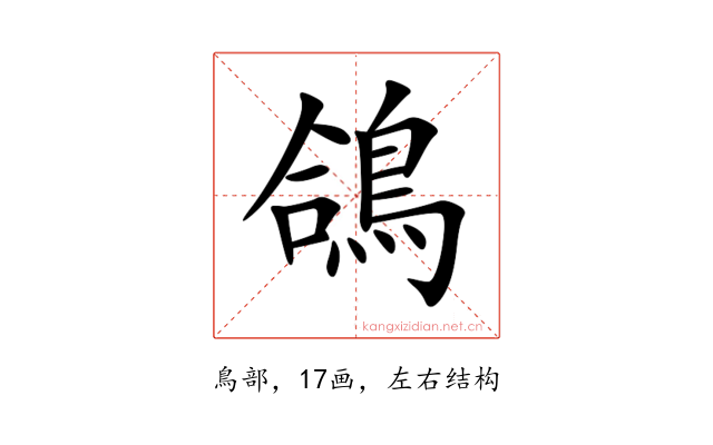 鴿