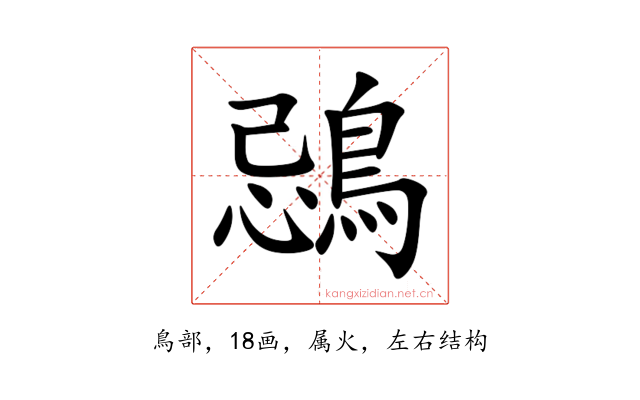 鵋