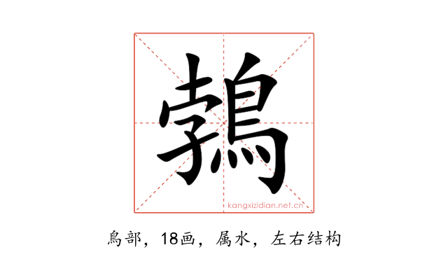 鵓