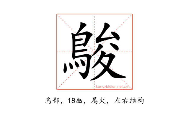 鵔