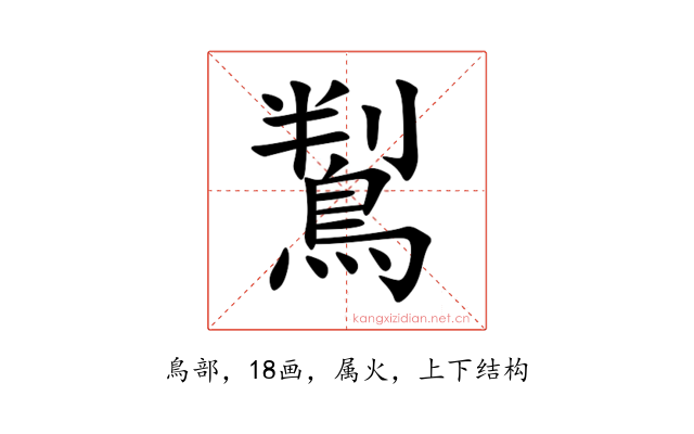 鵥