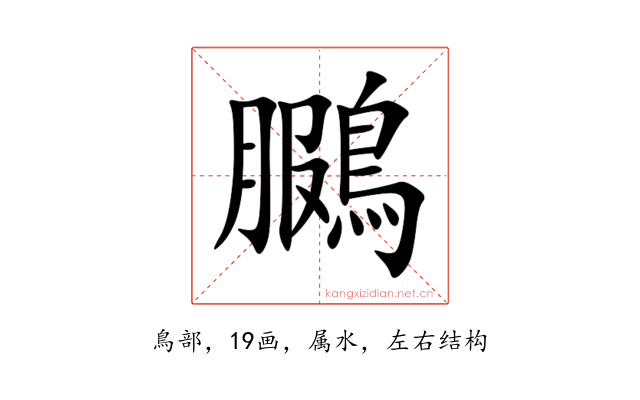 鵩