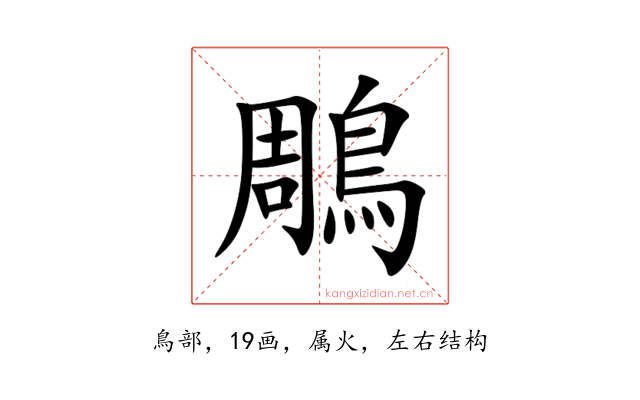 鵰
