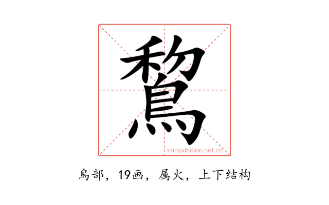 鵹