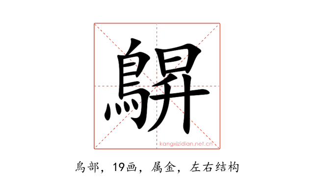 鵿