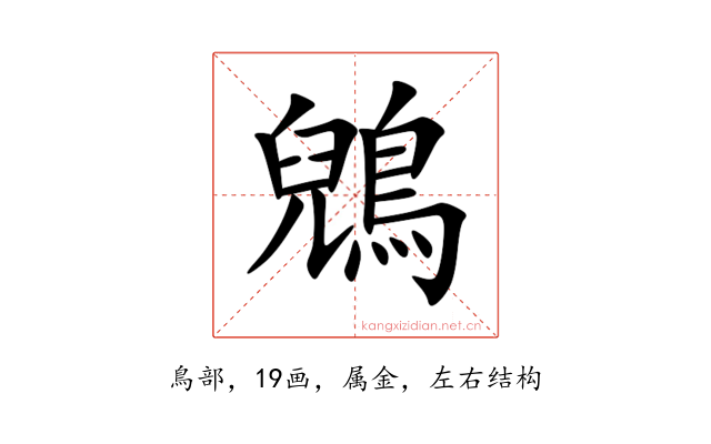 鶂